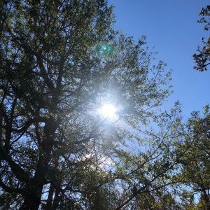 Meet your Posher, Ddenise